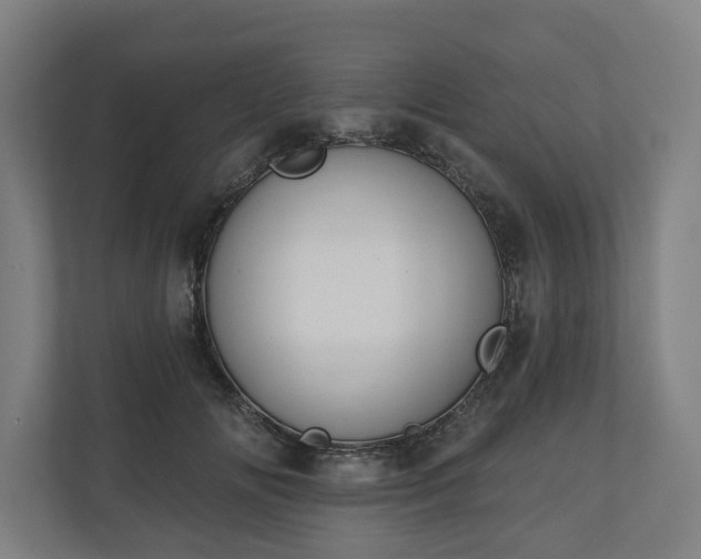 X0000110740702200906221029