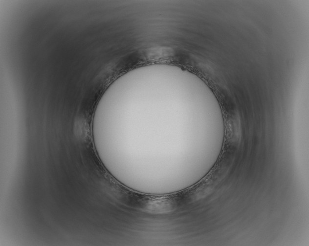 X0000110740705200906221029