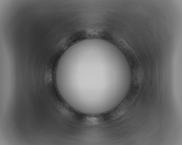 X0000110740706200906221029