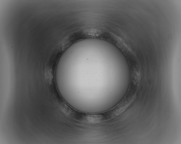 X0000110740707200906221029
