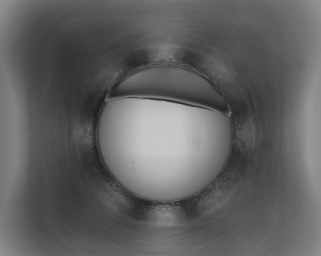 X0000110740708200906221029