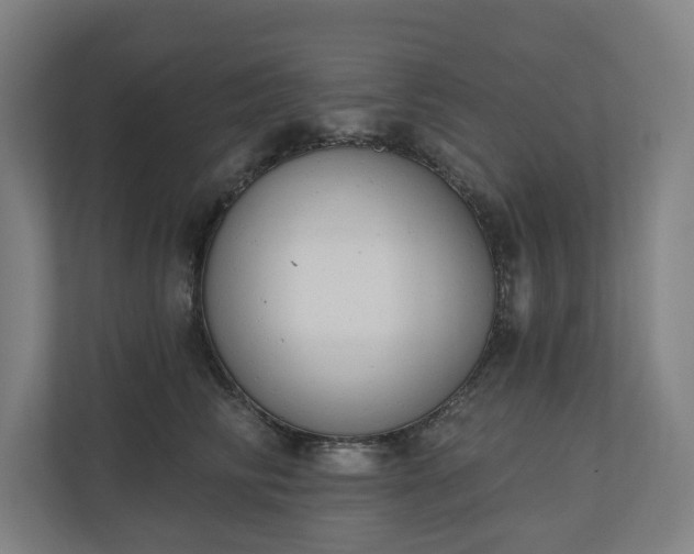 X0000110740710200906221029