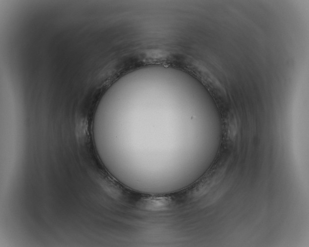 X0000110740711200906221029
