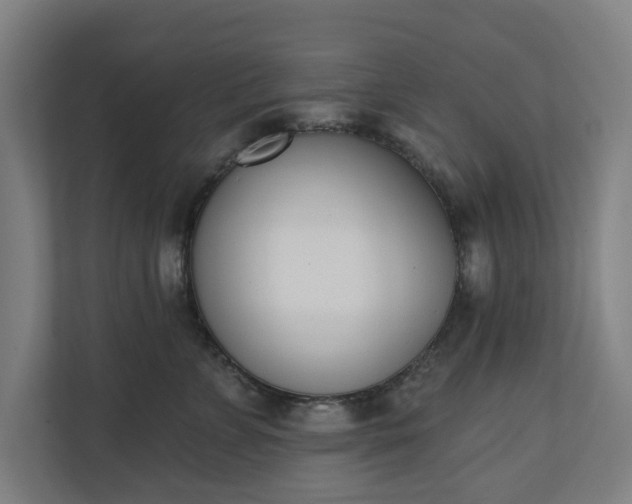 X0000110740715200906221028