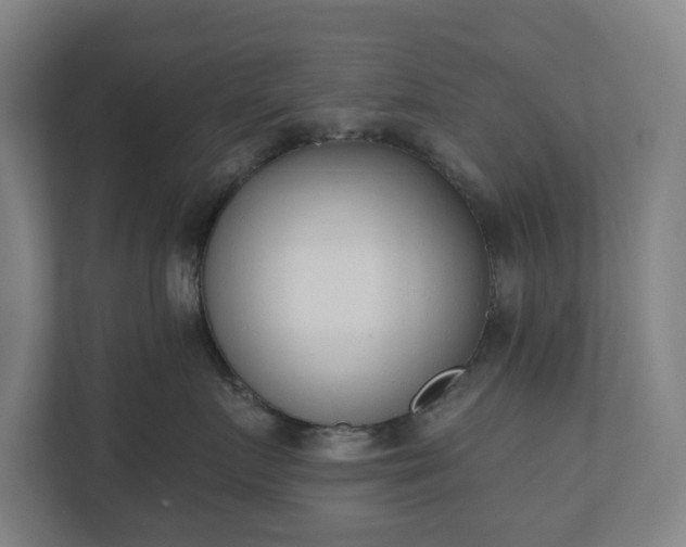 X0000110740719200906221028