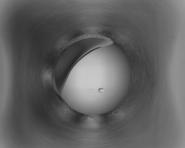 X0000110740720200906221028