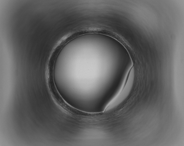 X0000110740726200906221028