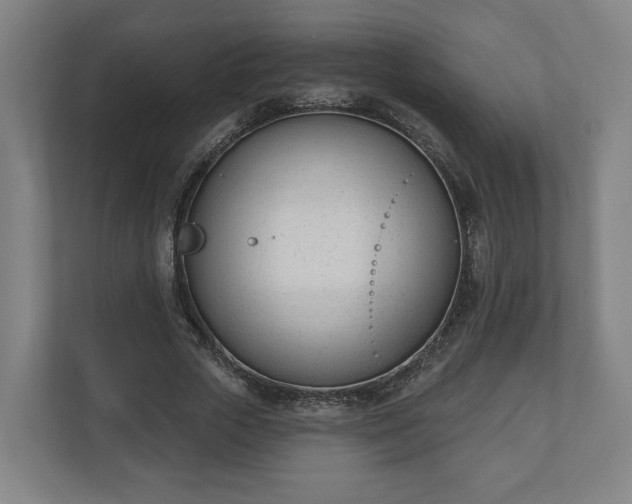 X0000110740729200906221028