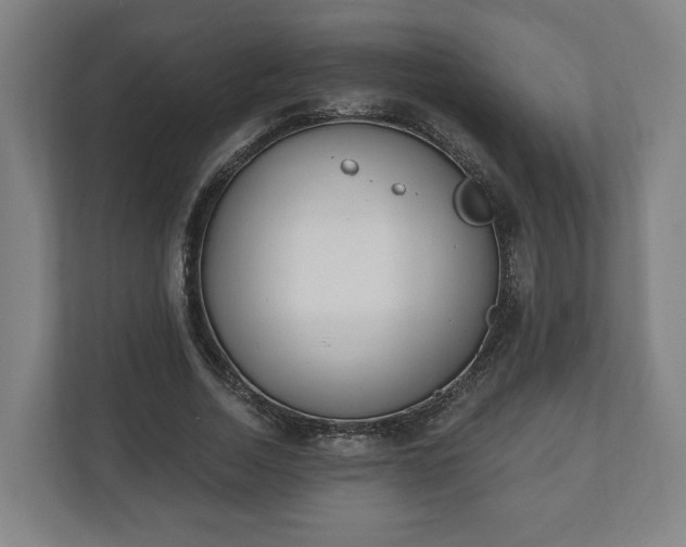 X0000110740730200906221028