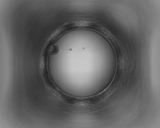 X0000110740731200906221028