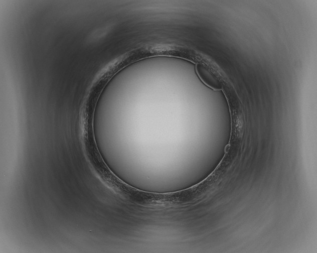 X0000110740732200906221028