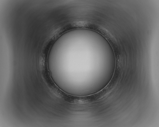 X0000110740739200906221028