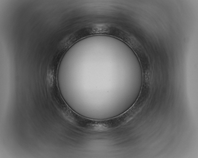 X0000110740741200906221028