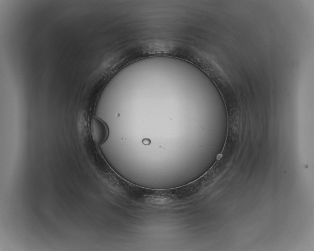 X0000110740743200906221028