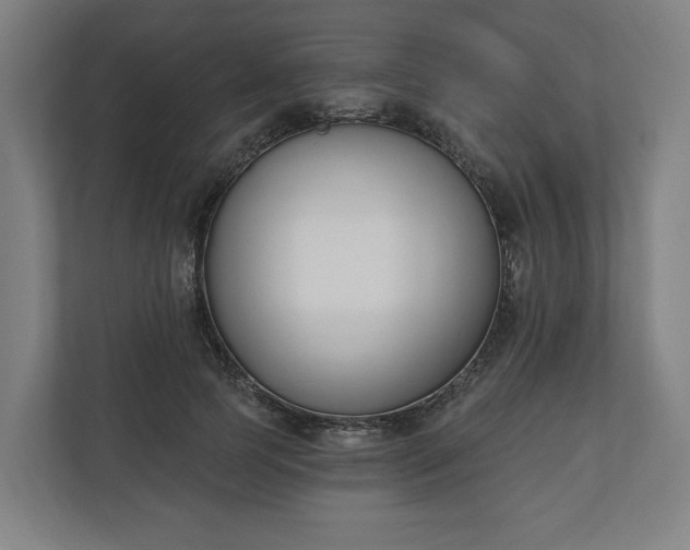 X0000110740745200906221028