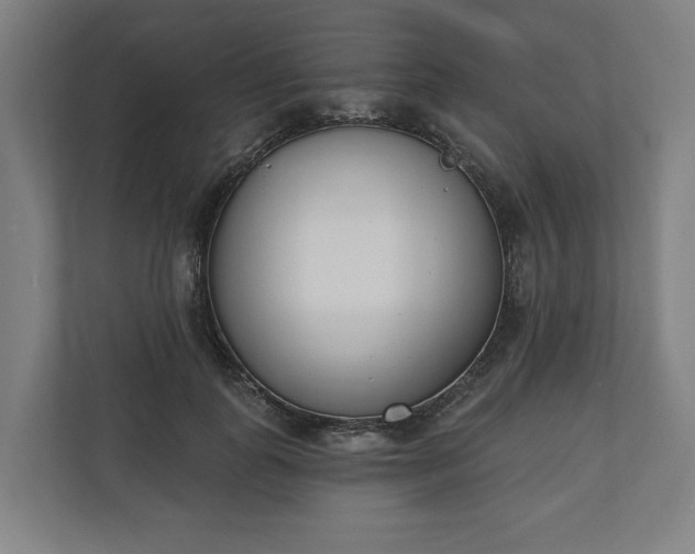 X0000110740747200906221028