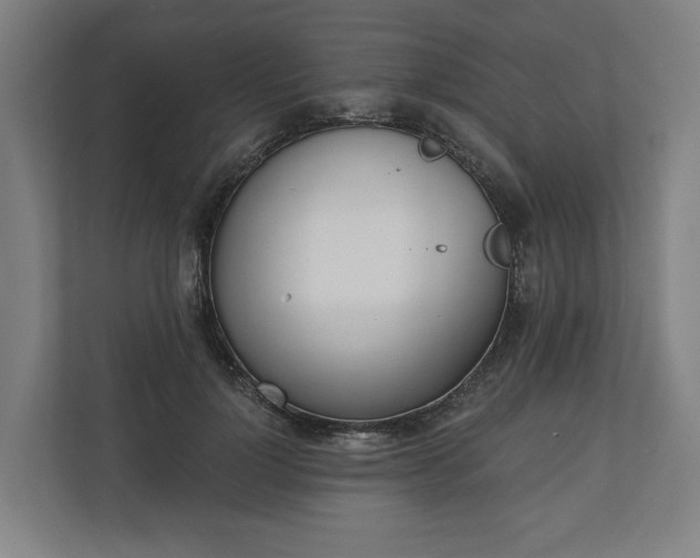 X0000110740748200906221028