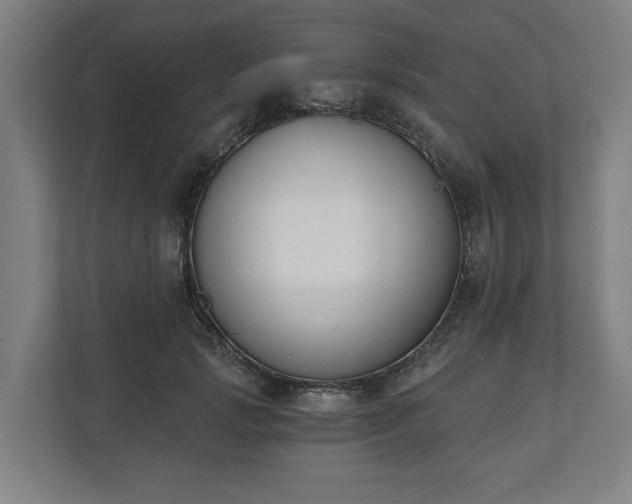 X0000110740749200906221028