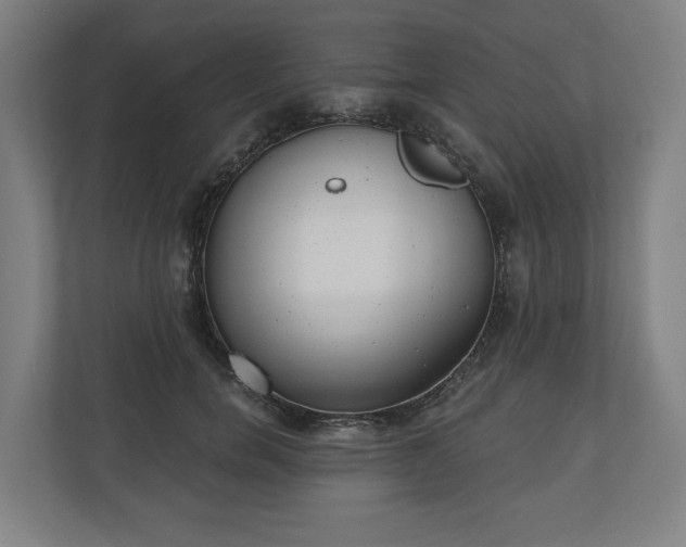 X0000110740750200906221028