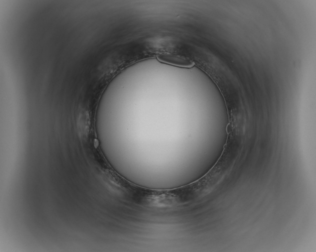 X0000110740752200906221028
