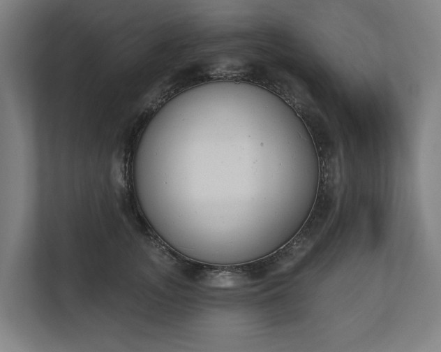 X0000110740755200906221028