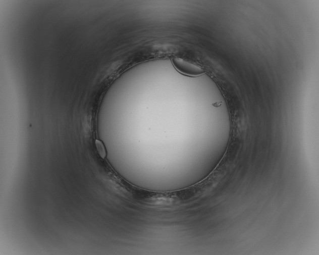 X0000110740756200906221028