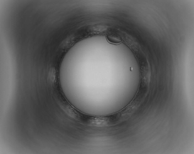 X0000110740758200906221028