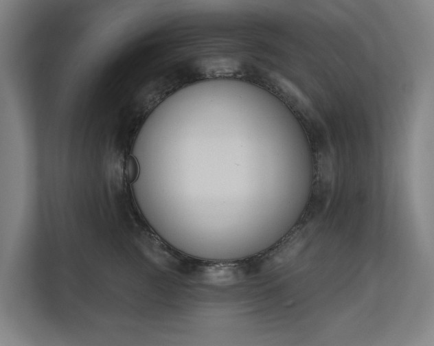 X0000110740761200906221028