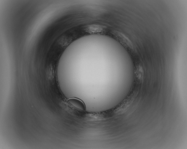 X0000110740763200906221028