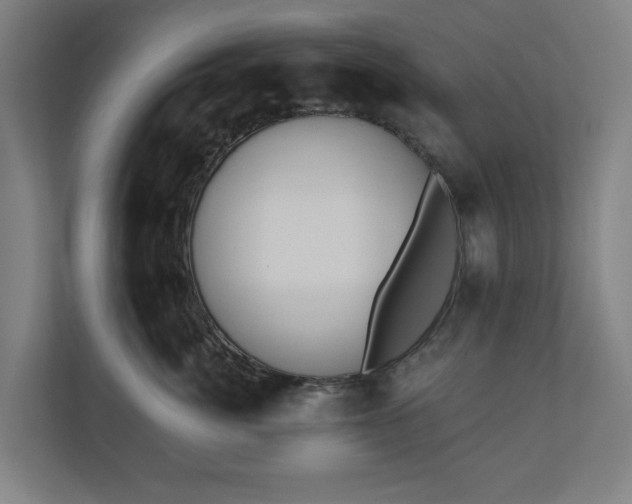 X0000110740764200906221028