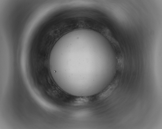 X0000110740765200906221028