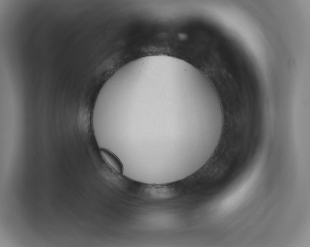 X0000110740767200906221028