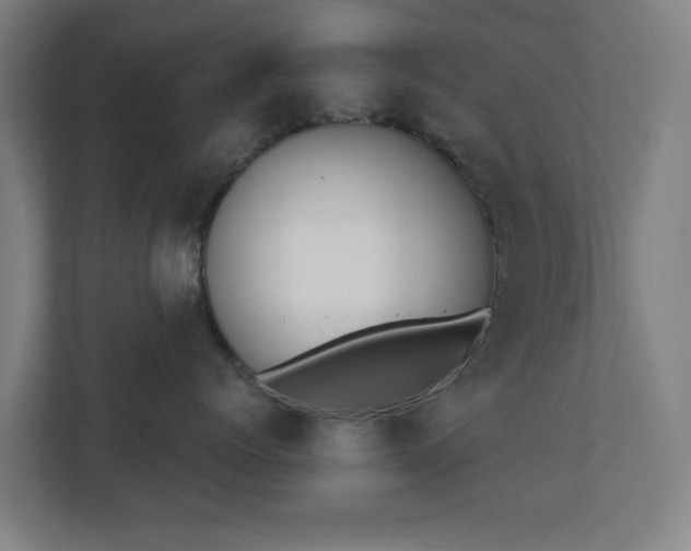 X0000110740768200906221028