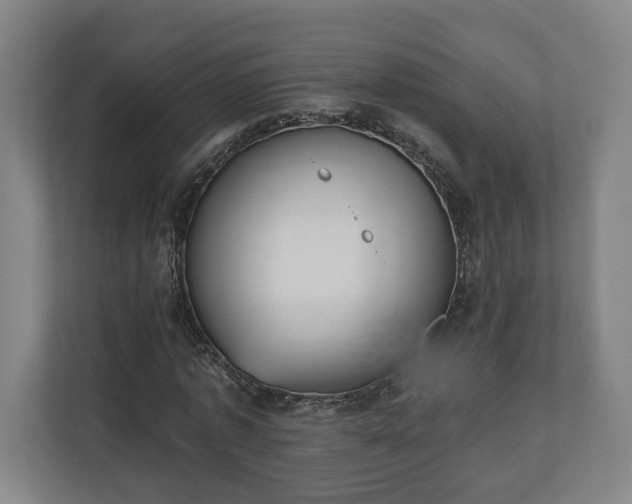 X0000110740773200906221028