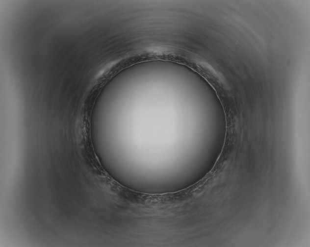 X0000110740776200906221028