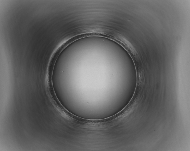 X0000110740780200906221028