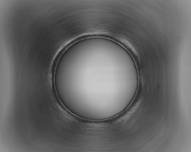 X0000110740781200906221028
