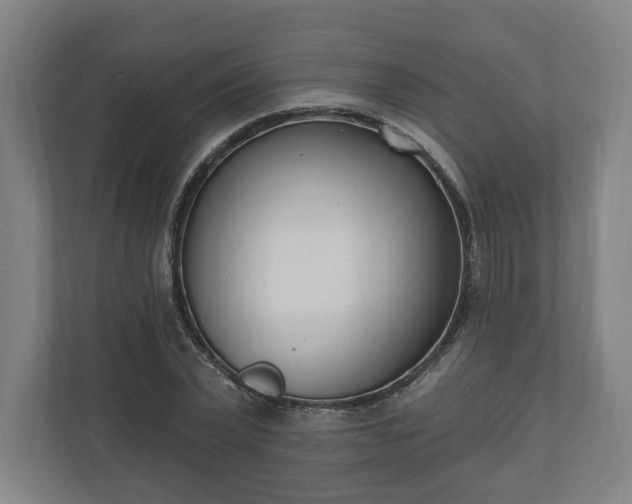 X0000110740783200906221028