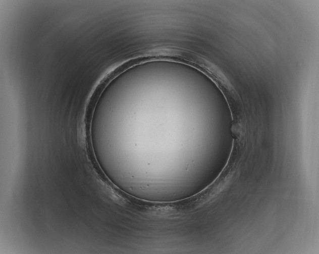 X0000110740784200906221028