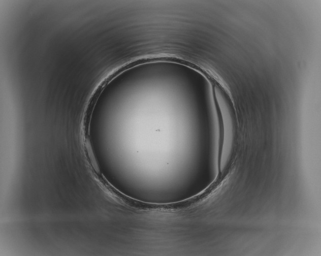 X0000110740789200906221028