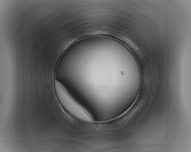 X0000110740793200906221027