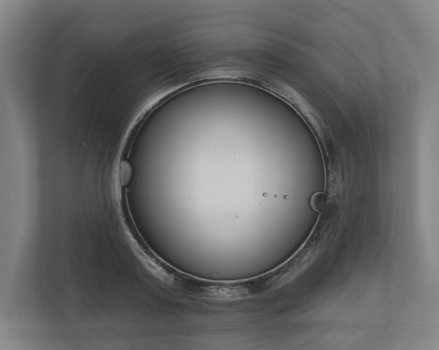 X0000110740795200906221027
