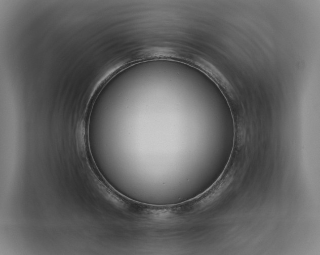 X0000110740798200906221027