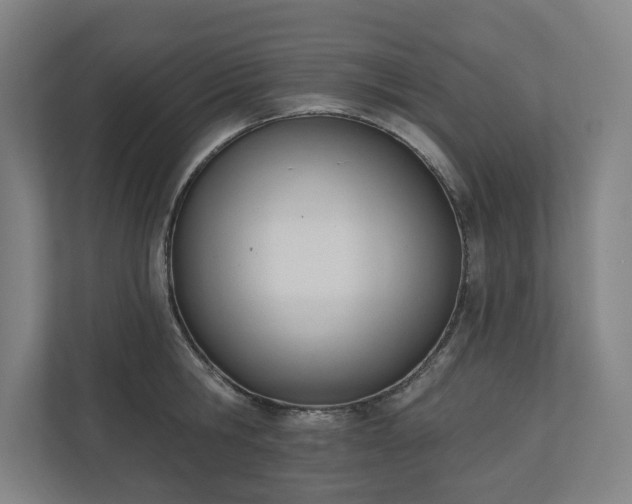 X0000110740806200906221027