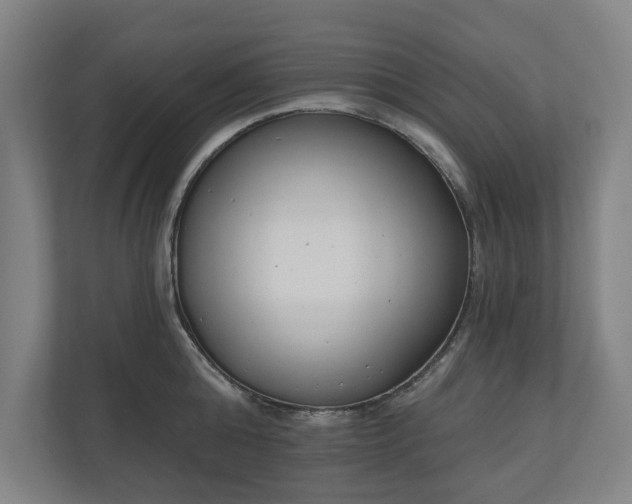 X0000110740808200906221027