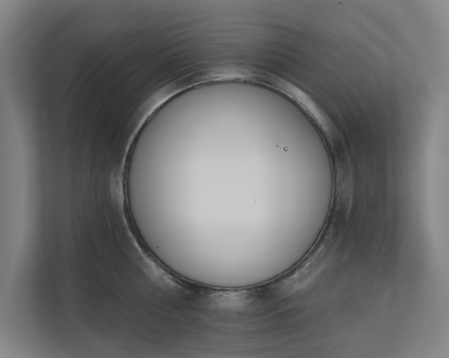 X0000110740810200906221027