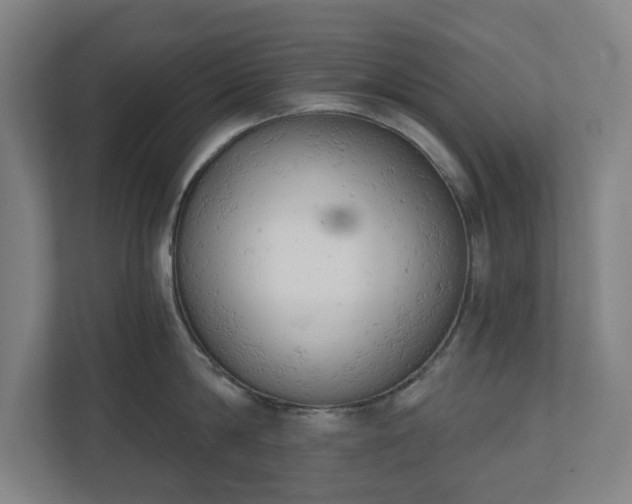 X0000110740814200906221027