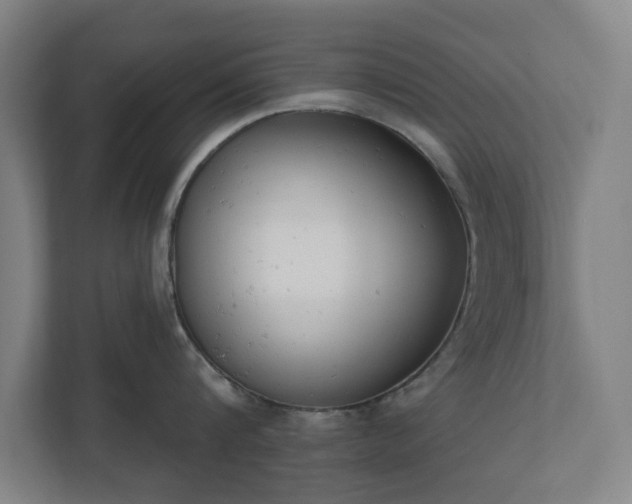 X0000110740816200906221027