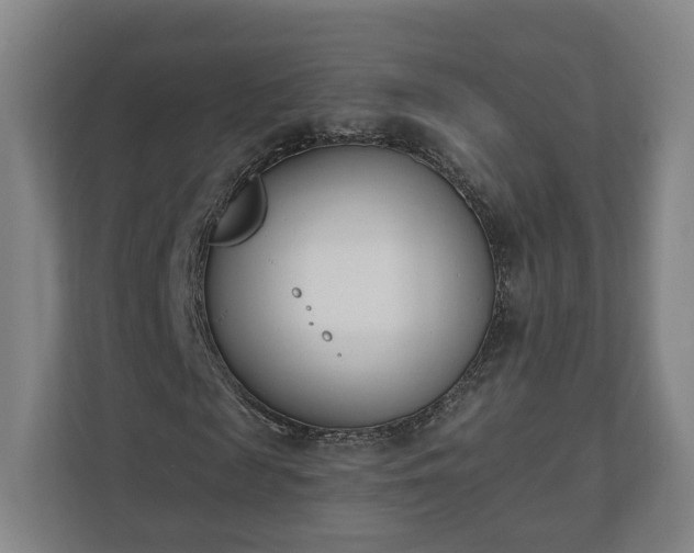 X0000110740817200906221027