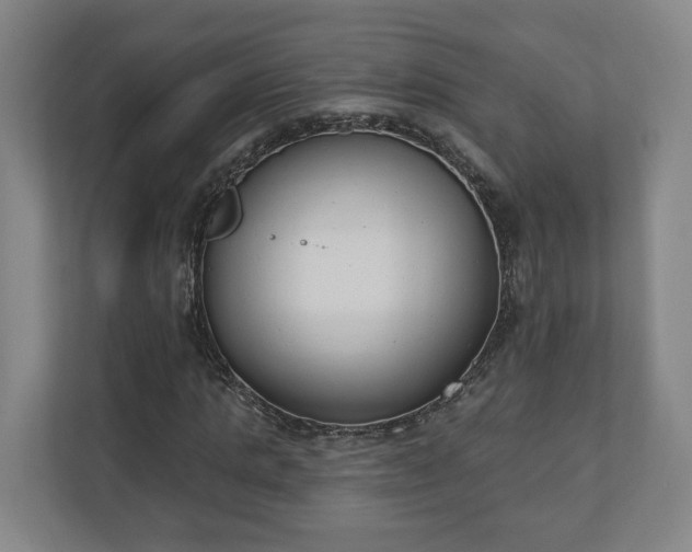 X0000110740821200906221027